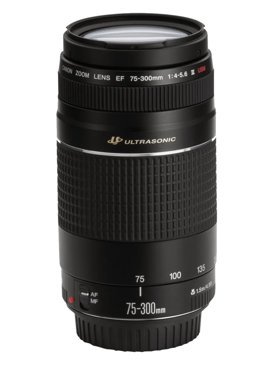 Замена мотора Canon EF 75-300 f/4-5.6 III