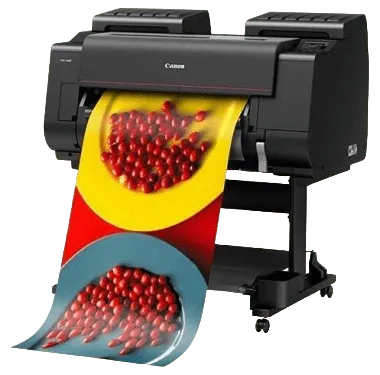 Замена каретки Canon imagePROGRAF PRO-2100